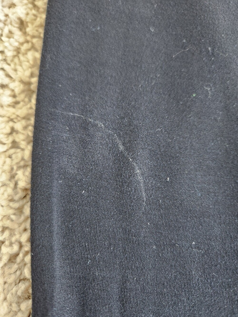 Cozy Earth Brushed Bamboo Jogger Pants Size Medium - Picture 8 of 10